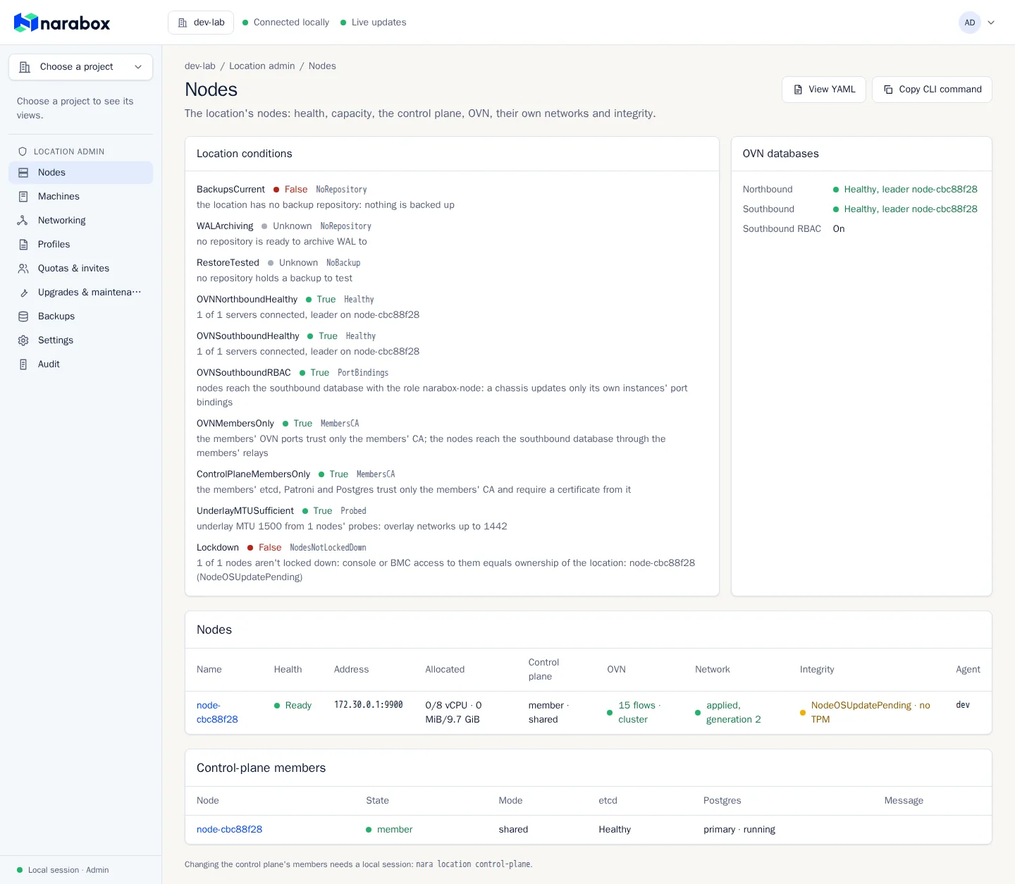 The console’s Nodes view: the location’s conditions, its OVN databases, its node and its control-plane members.